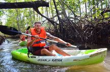 Uvita: Marino Ballena National Park Mangroves - Sea Kayaking 
