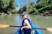 Uvita: Marino Ballena National Park Mangroves - Sea Kayaking 
