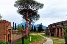 Pompeii Skip the Line Shared Group Tour