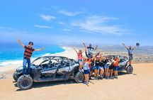 NEW! Off-Road Cabo Adventure: Beach & Desert Ride Tequila Tasting