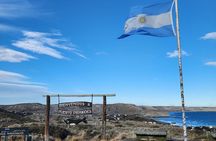 Peninsula Valdés Excursion with Whale Watching Included