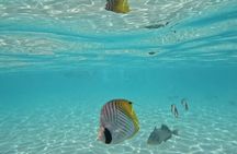 Lagoon Exploration and Snorkeling in Moorea