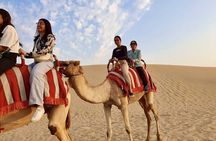 Luxury Desert Safari Adventure Dubai with Live Shows 
