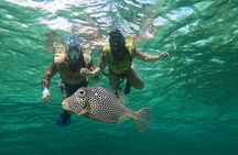 Cozumel Jeep Escape: Punta Sur Park, Jade Cavern & Snorkel