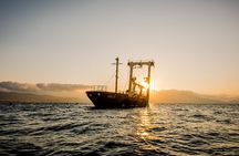 Sunset Kayak Tour to Kissamos Bay Shipwreck & Exclusive Beach