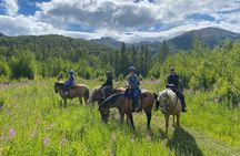  Zipline & Horseback Adventure in Alaskan Mountains