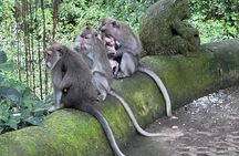 Ubud Top Tours to Discover Bali’s Cultural and Natural Wonders