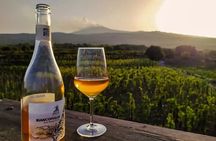 Etna excursion and wine tasting with Sicilian lunch