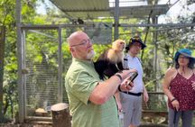 Sloth and Monkey Park Private Tour at Roatan with Pickup
