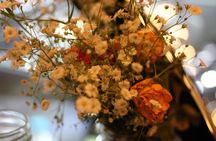 Oaxacan Dinner on Agronomic Biodiversity