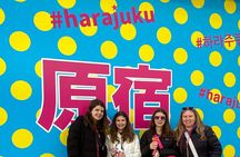 Experience Harajuku Kawaii & Cat Street + LUNCH plus Meiji Shrine