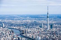 Tokyo Private Tour by Car with English speaking driver