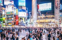 Tokyo Private Tour by Car with English speaking driver