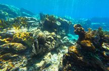 Visit Secret beaches and enjoy private guided Snorkel tour