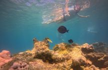 Visit Secret beaches and enjoy private guided Snorkel tour