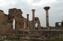 Private Tour To Meknes/ Volubilis/ Moulay Idriss From Fes