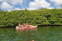 Kayak Tour at Mangel Halto and Spanish Lagoon