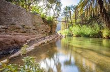 Paradise Valley Trip from Agadir