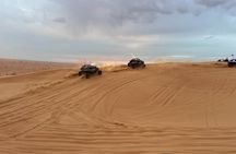 Red Dune Desert Safari Camel Ride, Sandboarding with BBQ Dinner