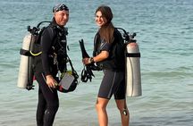  PADI Open Water Diving Course in Dubai for 3 Days