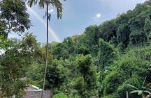 Full-Day Doi Suthep, Wat Pha Lad & Sticky Waterfall Guided Tour