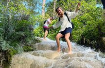 Full-Day Doi Suthep, Wat Pha Lad & Sticky Waterfall Guided Tour