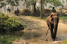 Golden Triangle (kathmandu-pokhara & Chitwan Tour)