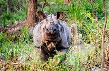 Golden Triangle (kathmandu-pokhara & Chitwan Tour)