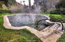 Huilo Huilo Hot Springs Tour from Valdivia with Lunch
