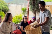 Monte Alban, Mezcal factory, chocolate and artisan houses 