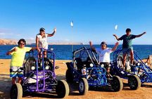 Tour the Paracas National Reserve in a MiniBuggy