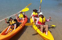 Daytime Kayak Eco Tour of New South Wales