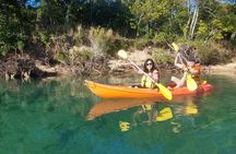 Daytime Kayak Eco Tour of New South Wales