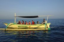 Bali Lovina Dolphin and North Bali Sightseeing - All Inclusive
