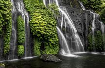 Bali Lovina Dolphin and North Bali Sightseeing - All Inclusive