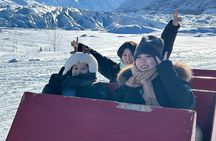 Hike Matanuska Glacier w/Alaska Local Honey, Wine Tasting 