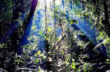 Monteverde Cloud Forest Tour