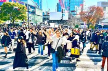 Tokyo Full Course Tour: Explore 10 Must-See Sights & Hidden Gems