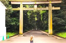 Tokyo Full Course Tour: Explore 10 Must-See Sights & Hidden Gems