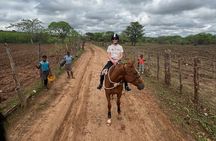 Horse Riding Community Village Tour Experience 