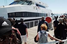 Half Day Tour of Robben Island including Tickets and Transfers