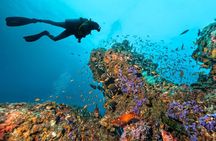 3 Fun dives in Phi Phi islands for Certified Divers