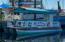 Pensacola Beach Dolphin Cruise + Beach Stop + Reef Snorkeling