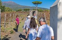Naples: Tour of Mt Vesuvius and Pompeii w/ Lunch & Wine tasting