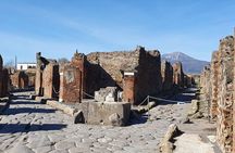 Naples: Tour of Mt Vesuvius and Pompeii w/ Lunch & Wine tasting