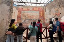 Naples: Tour of Mt Vesuvius and Pompeii w/ Lunch & Wine tasting