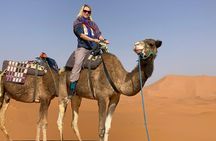 Merzouga Camel Ride Full Day Guided Adventure