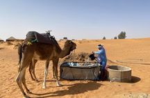 Merzouga Camel Ride Full Day Guided Adventure