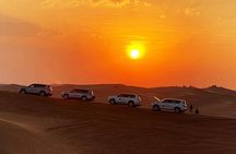 Dubai Red Dune Evening Safari Tour 