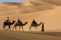 Dubai Red Dune Evening Safari Tour 